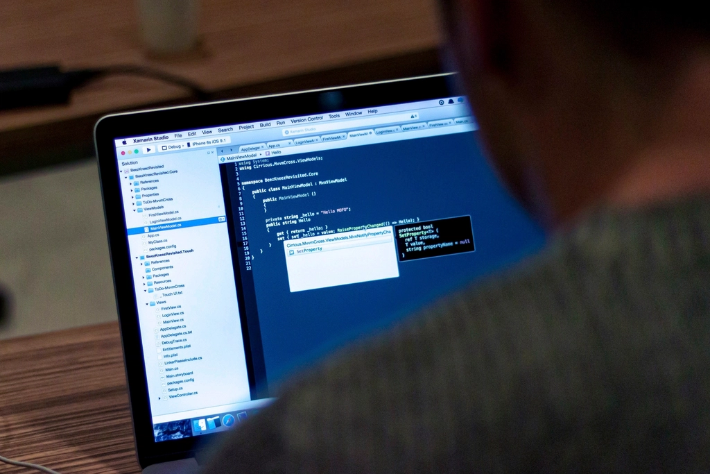 Software Copyright Violation in Vietnam: When "Free Use" is No Longer a Minor Issue