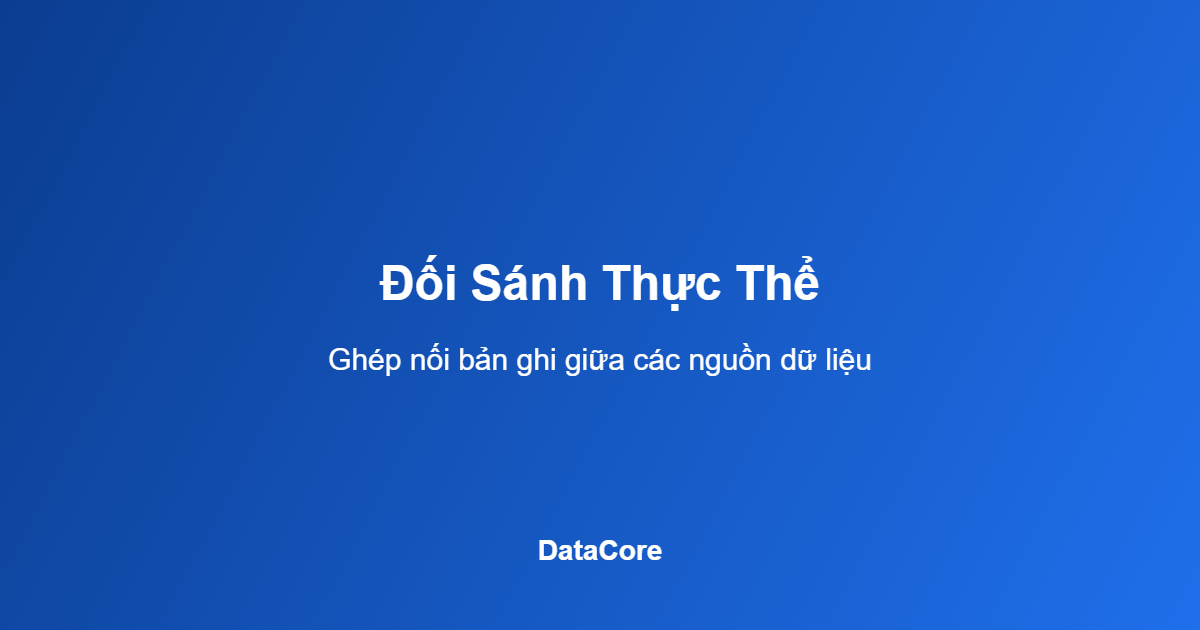 Làm sạch dữ liệu AI Việt Nam đối sánh thực thể