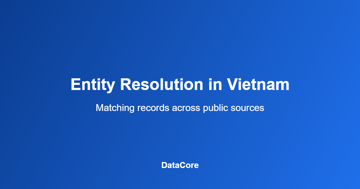 Vietnam data quality AI entity resolution across public data sources